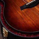 Taylor 224ce-K DLX