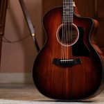 Taylor 224ce-K DLX