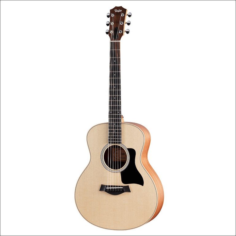 Taylor GS Mini Sapele