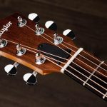 Taylor GS Mini Sapele